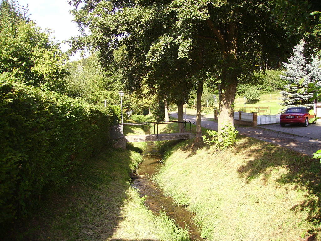 Hotel Zur Erholung Brochthausen Ruang foto